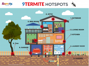 Destructive termites will eat your house where can I find them in my house.